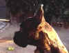 !0000045.jpg (9316 octets)